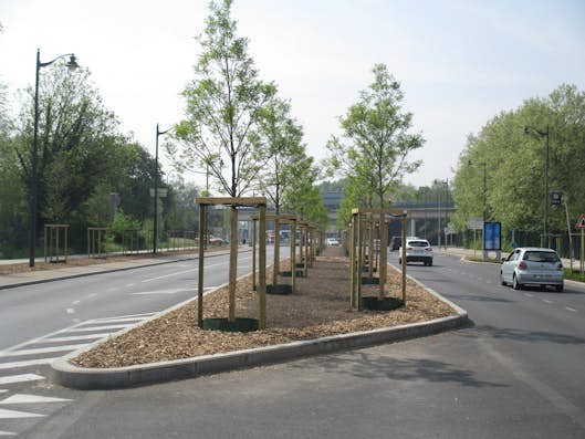 Bomen geplant op de Bergensesteenweg