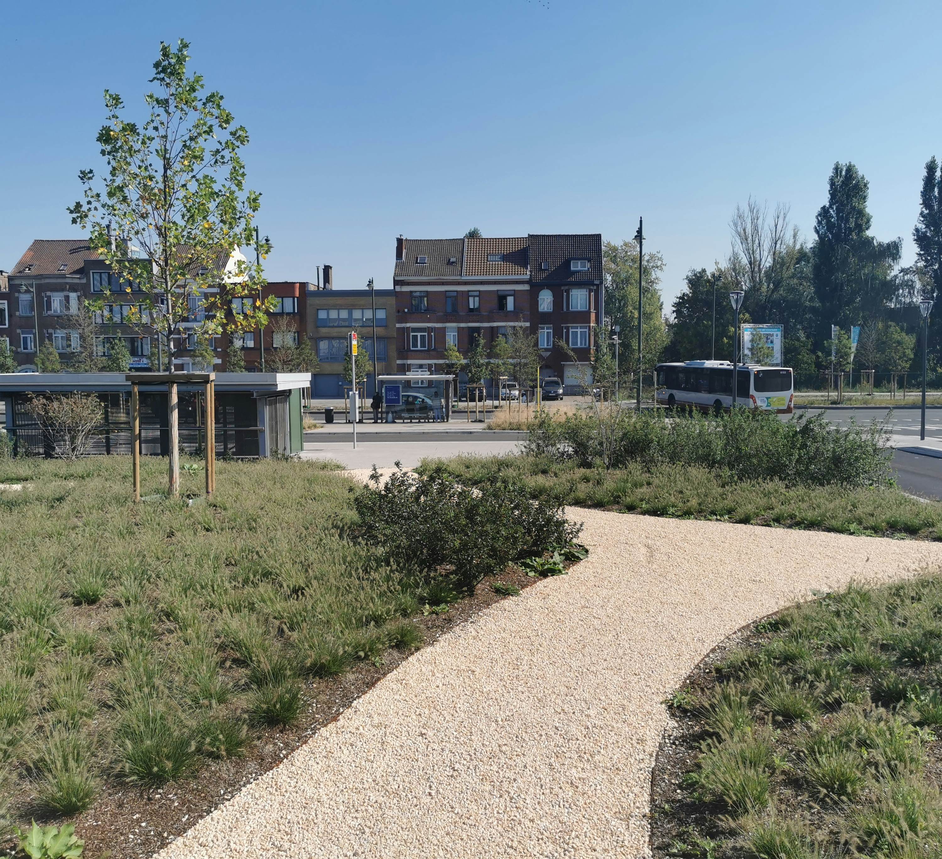 Groenezone op de Bergensesteenweg