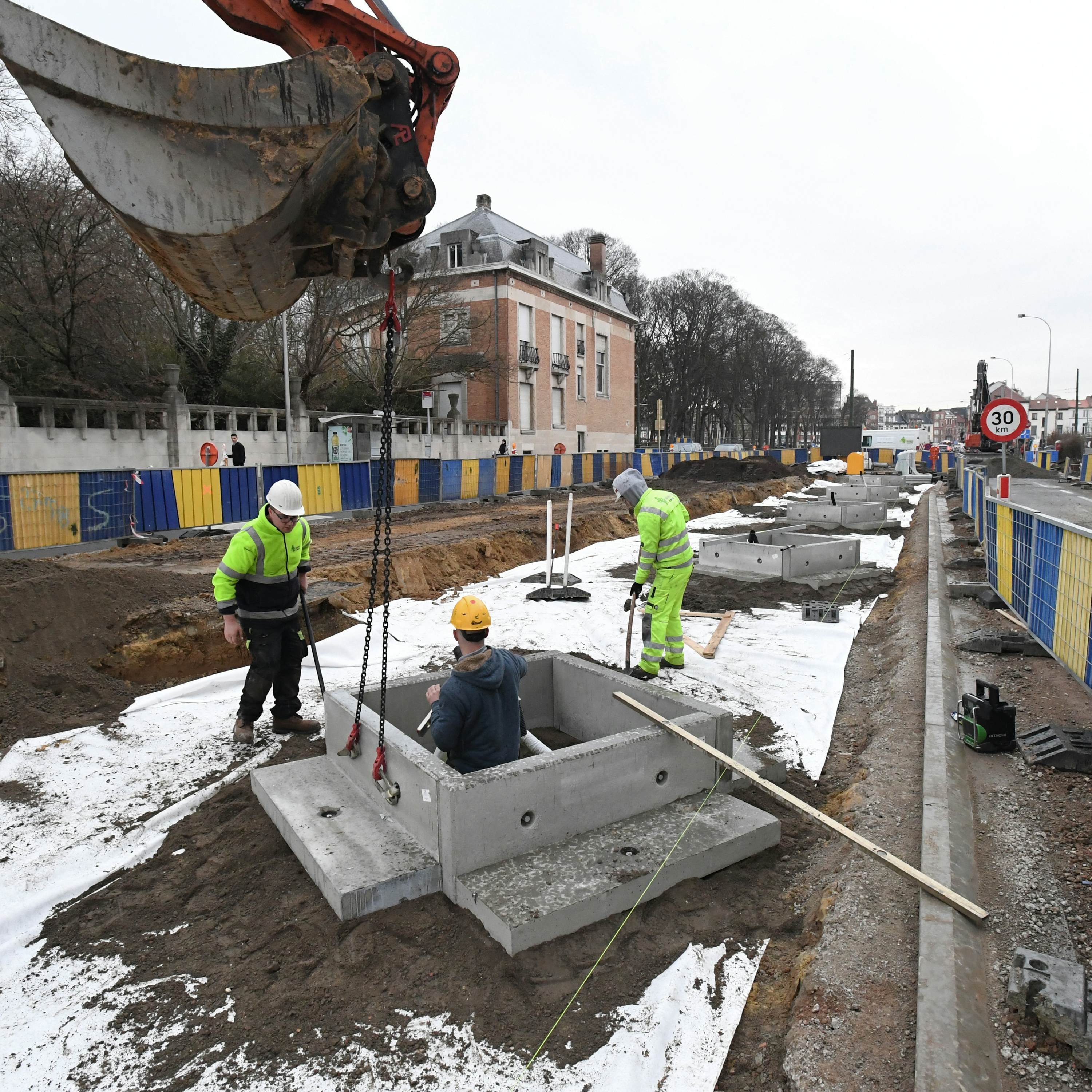 Drie arbeiders kuilt watervoorraden rond een boom in